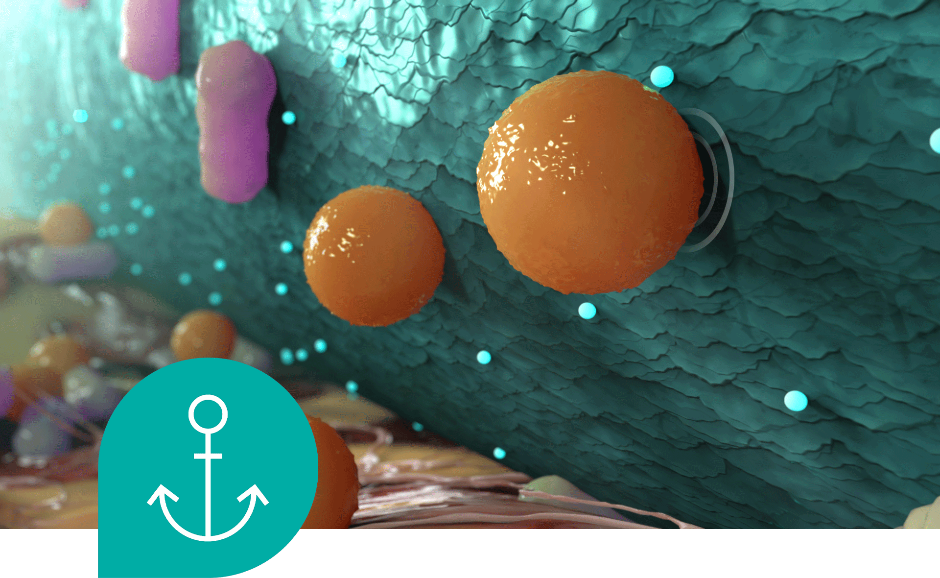 Sorbact Technology viaže baktérie. Sorbact Technology viaže baktérie.